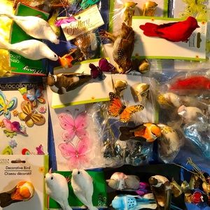 Birds, Bees, Butterflies, and Bows